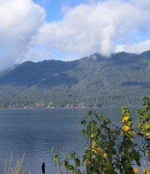 Voyage sur-mesure, Lake Quinault (Olympic National Park)