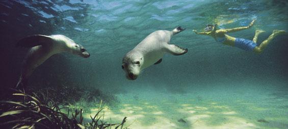 Voyage sur-mesure, SA - Baird Bay