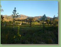 Voyage sur-mesure, Cahuasqui