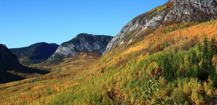 Voyage sur-mesure, Parc National des Grands Jardins