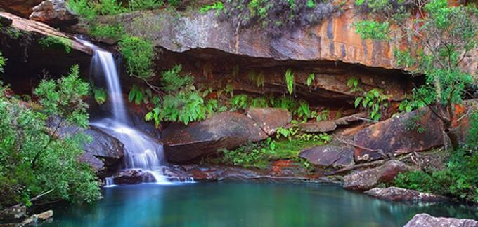 Voyage sur-mesure, NSW - Ku Ring Gai Chase National Park (Sydney)