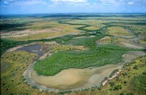 Voyage sur-mesure, QLD - Lakefield (Rinyirru) National Park (Cape York)