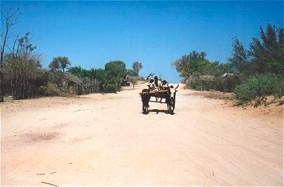 Voyage sur-mesure, Tuléar