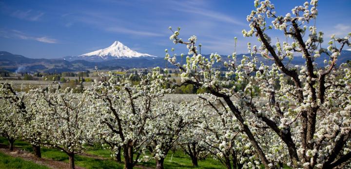 Voyage sur-mesure, Medford (Oregon)