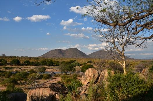 Voyage sur-mesure, Parc National de Ruaha