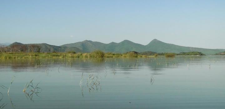Voyage sur-mesure, Parc National de Nechisar