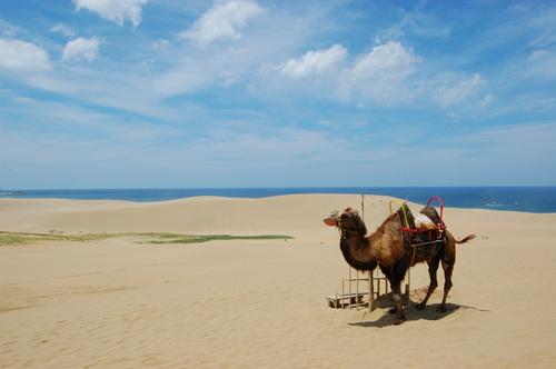 Voyage sur-mesure, Tottori & Tottori Sakyu