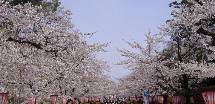 Voyage sur-mesure, Tsuyama