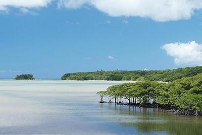 Voyage sur-mesure, Iles Yaeyama - Iriomote