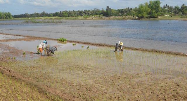 Voyage sur-mesure, Koh Trong