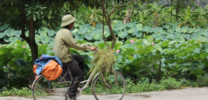 Voyage sur-mesure, Tam Coc