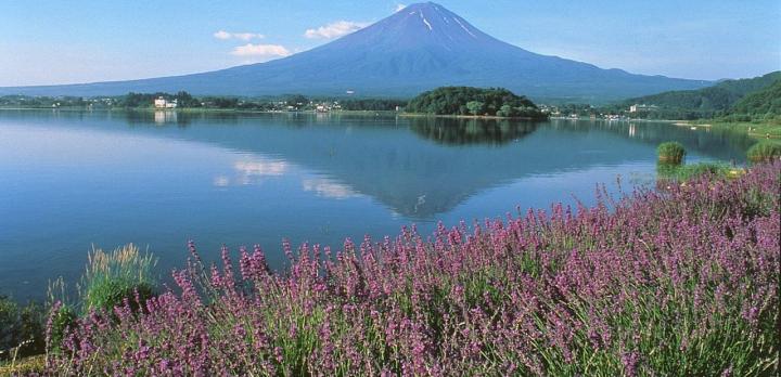 Voyage sur-mesure, Kawaguchi Kô