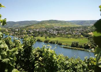 Voyage sur-mesure, Mülheim an der Mosel