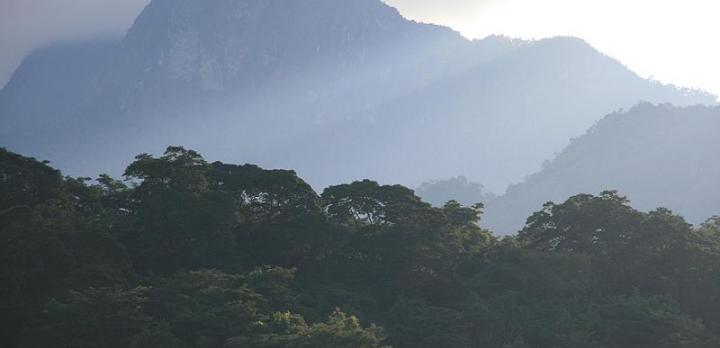 Voyage sur-mesure, Parc national d'Udzungwa