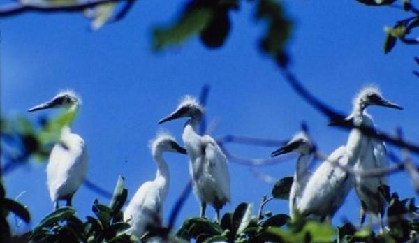 Voyage sur-mesure, Ilha das Canárias