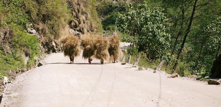 Voyage sur-mesure, Zhangmu