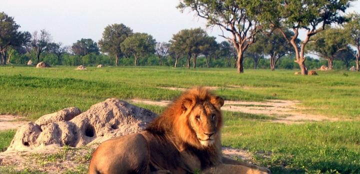 Voyage sur-mesure, Hwange National Park