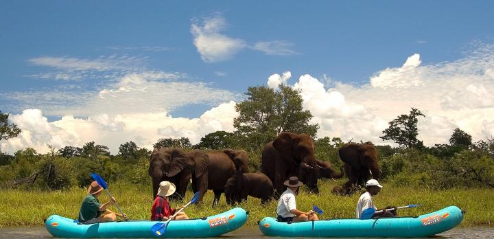 Voyage sur-mesure, Mana Pools