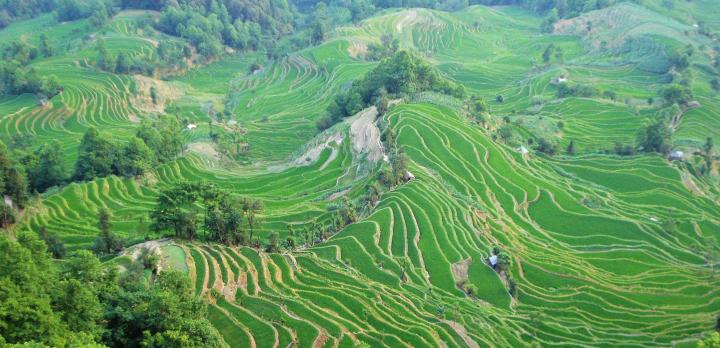 Voyage sur-mesure, Yuanyang