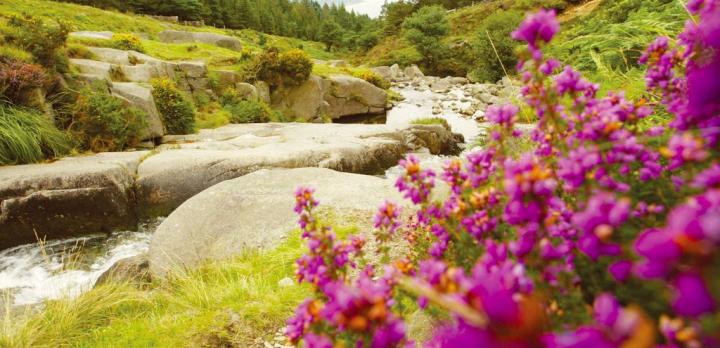 Voyage sur-mesure, Mourne Mountains