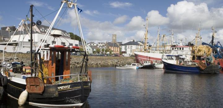 Voyage sur-mesure, Killybegs