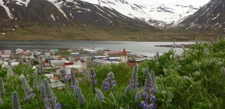 Voyage sur-mesure, La Péninsule de Snaefellsnes