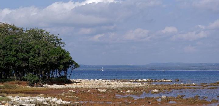 Voyage sur-mesure, Iles de Brijuni