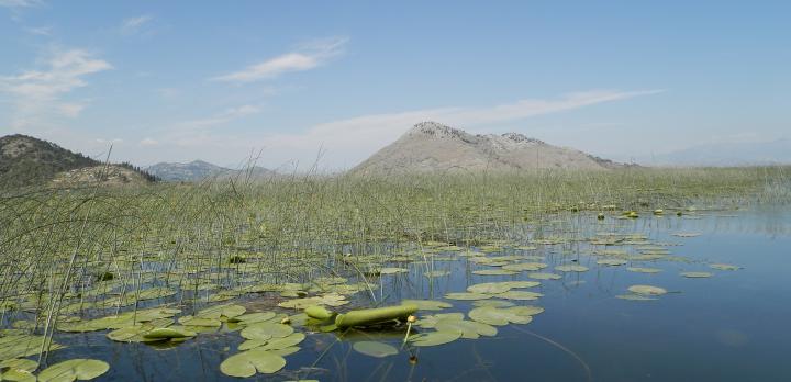 Voyage sur-mesure, Lac de Skadar