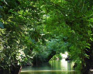 Voyage sur-mesure, Arçais