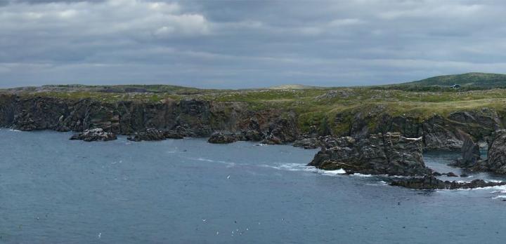 Voyage sur-mesure, Bonavista