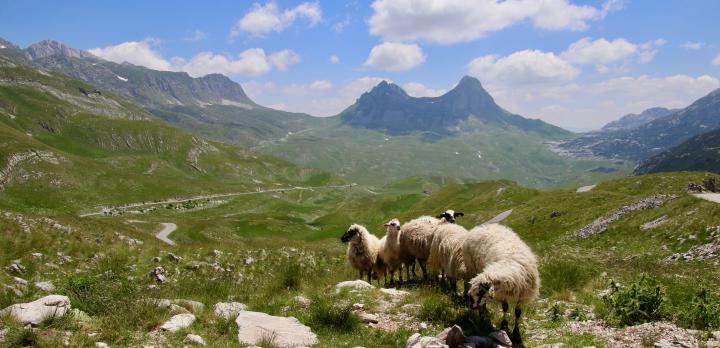 Voyage sur-mesure, Parc National de Durmitor