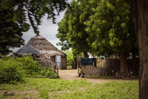 Voyage sur-mesure, Delta du Sine Saloum - Kaolack