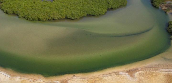 Voyage sur-mesure, Delta du Siné Saloum