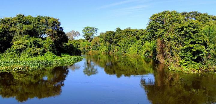 Voyage sur-mesure, Pantanal Sud