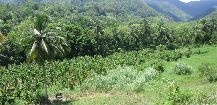 Voyage sur-mesure, Taberi-La Plaine