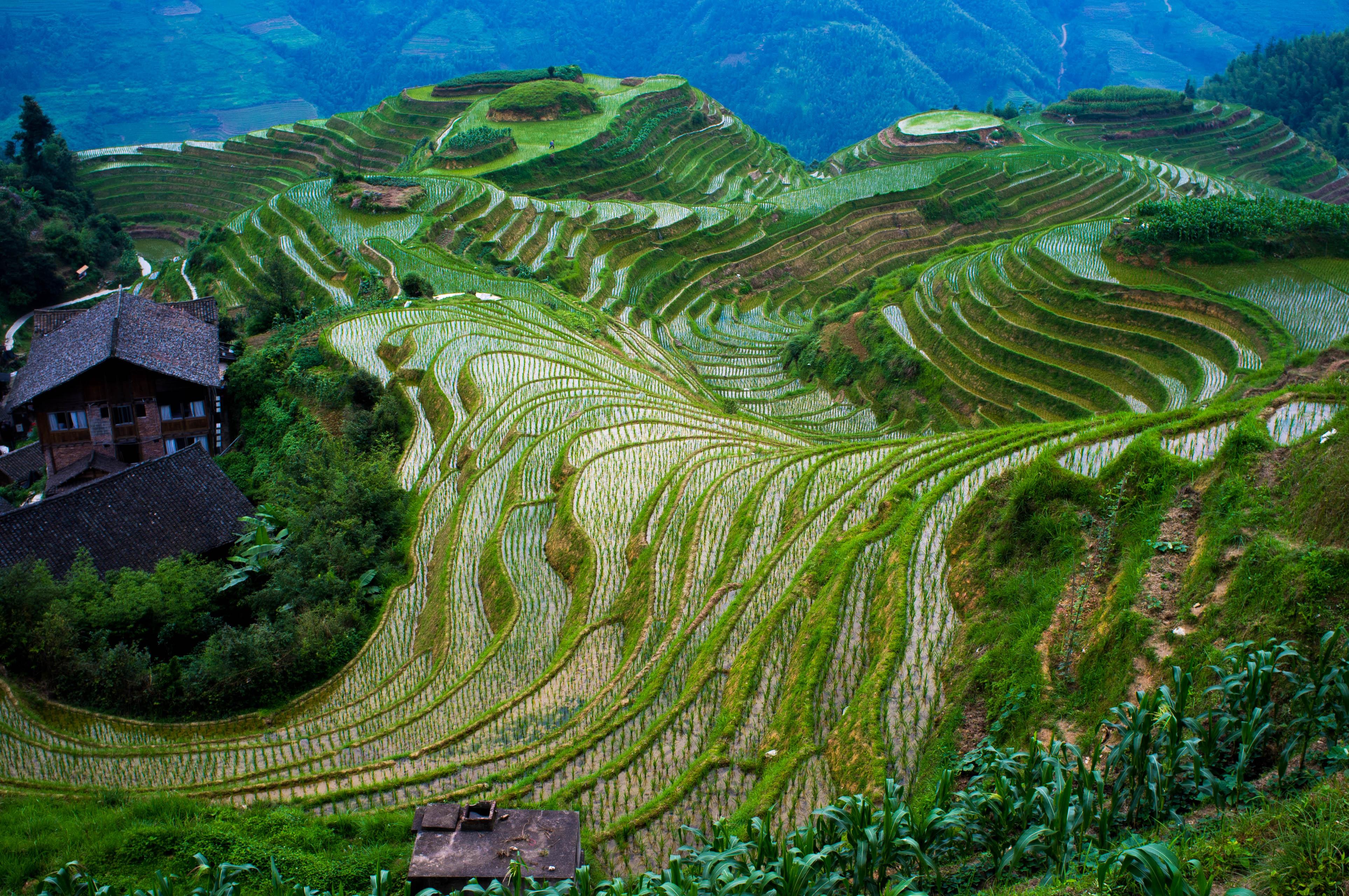 Voyage sur-mesure, Longsheng