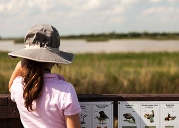 Voyage sur-mesure, Parc national de Fertő-Hanság