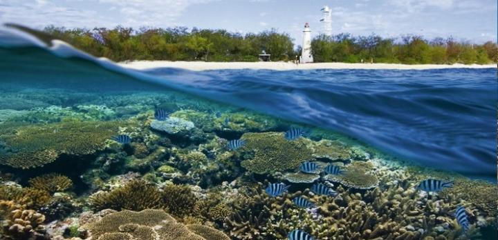 Voyage sur-mesure, QLD - Lady Elliott Island