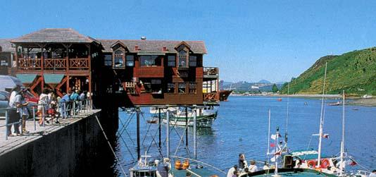 Voyage sur-mesure, Puerto Montt