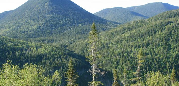 Voyage sur-mesure, Parc National de la Gaspésie