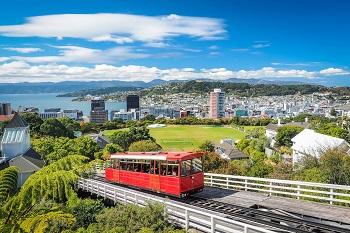 Voyage sur-mesure, Wellington