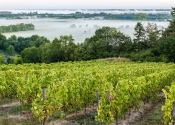 Voyage sur-mesure, Rochefort sur Loire