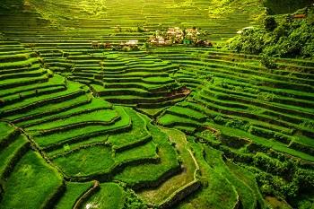 Voyage sur-mesure, Banaue