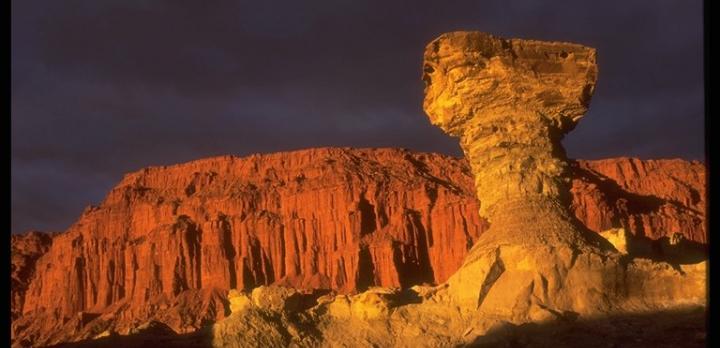 Voyage sur-mesure, Ischigualasto (Vallée de la Lune)