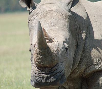 Voyage sur-mesure, Laikipia réserve