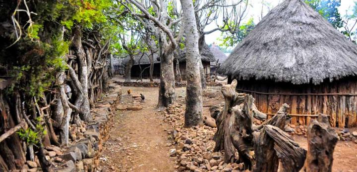 Voyage sur-mesure, Konso