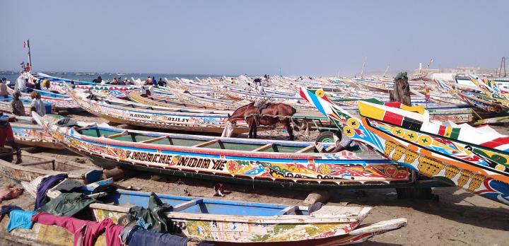 Voyage sur-mesure, Kayar - Cap Vert