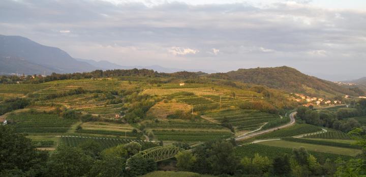 Voyage sur-mesure, Vallée de la Vipava