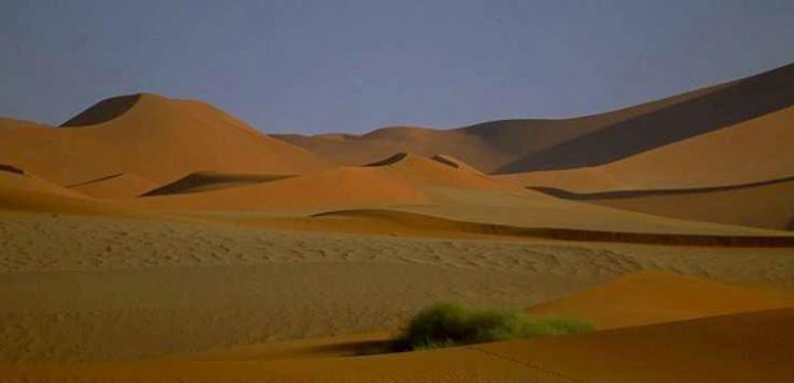 Voyage sur-mesure, Désert du Namib