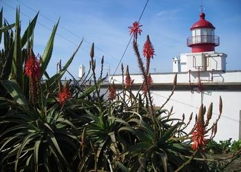 Voyage sur-mesure, Ponta Do Pargo
